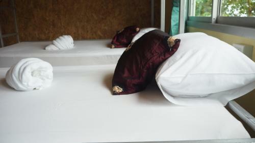 Albergue Chaokoh Phi Phi Resort And Dorm Room