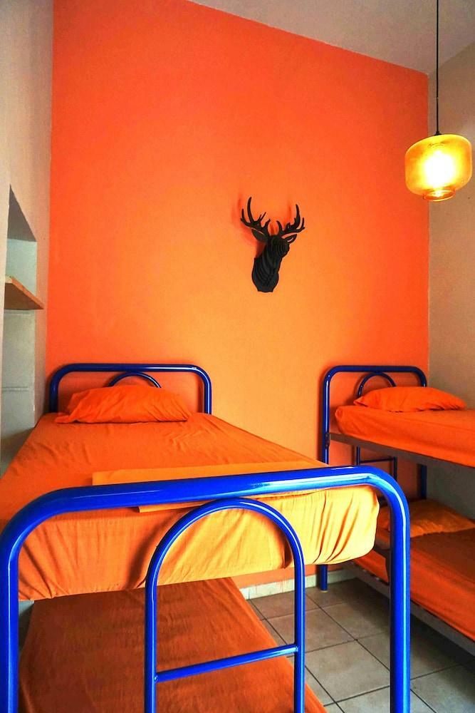 Blue Pepper Hostel Chapultepec