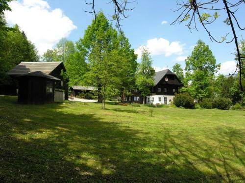 Dachstein Chalet Fh Gut - Eisenlehen