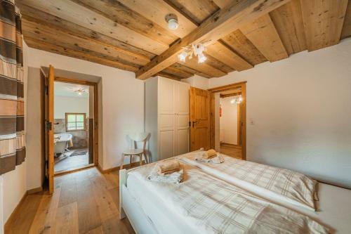 Dachstein Chalet Fh Gut - Eisenlehen