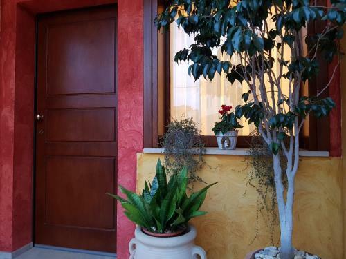 Hostal Grace Dell'isola Dei Coralli