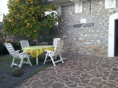 Apartamento Alloggio Ulivo