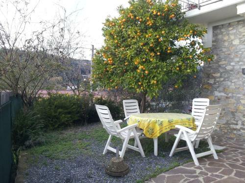 Apartamento Alloggio Ulivo