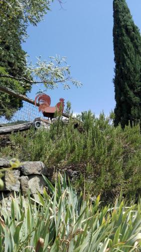Apartamento Casina Di Vicchio