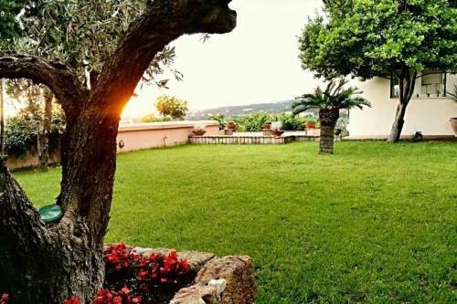 Luxury Hilltop Villa 200m From The Beach