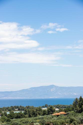 The Euphoria Club Luxury Villas