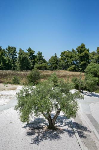 The Euphoria Club Luxury Villas