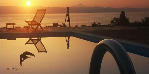 The Free Bird - Private Pool & Spa Villa