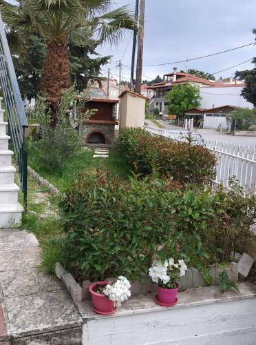 Center Of Pefkohori