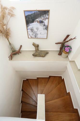 Villa Argo 2 - Beachfront, Big Gardens, Location!