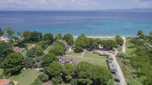 Villa Zennova #11 Blue Pearl