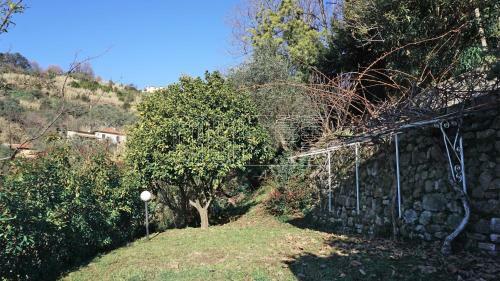 Villa La Maluda