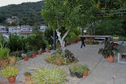 Apartamento Antico Palazzo Crocco - Casa Padronale