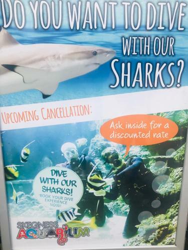 Apartamento 4 Bedrooms Holiday Caravan