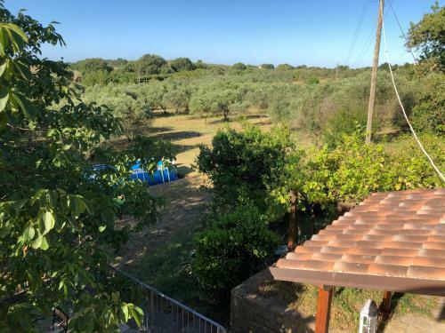 Marta Casa Delle Rose