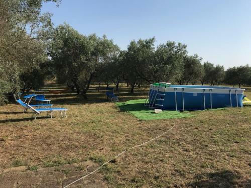 Marta Casa Delle Rose