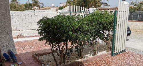 Apartamento Marzamemi Rent House