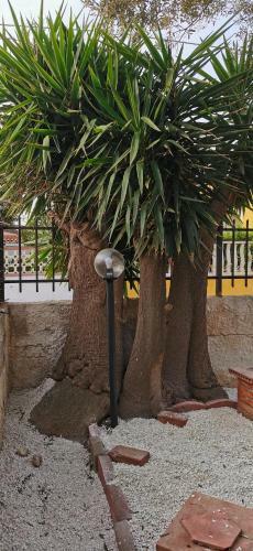 Apartamento Marzamemi Rent House