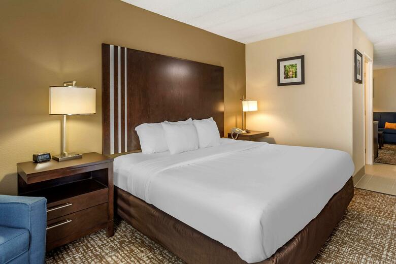 Hotel Comfort Inn Paducah