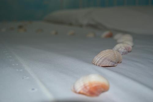 Casa Vacanze Raggio Di Sole Monopoli