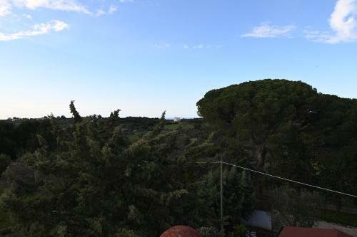 Bed & Breakfast Casale Sette Volte