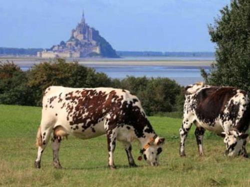 Bed & Breakfast Chambres D'h�tes Les Vieilles Digues