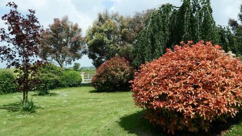 Bed & Breakfast Chambres D'h�tes Les Vieilles Digues