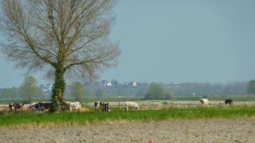 Bed & Breakfast Chambres D'h�tes Les Vieilles Digues