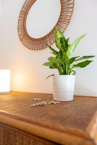 2min Walk To The Beach/ Rooftop Terrace W/sea View