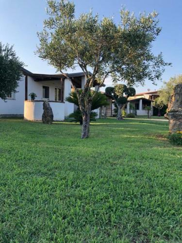 Hotel Verter Home Resort