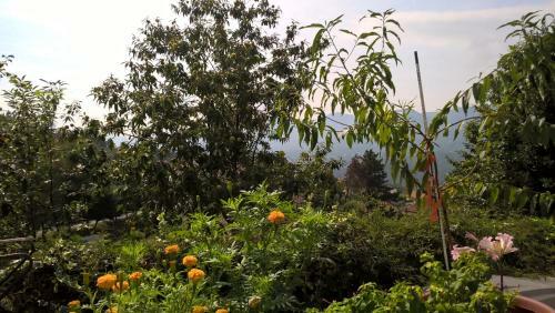Apartamento Monolocale Con Angolo Cottura E Terrazza