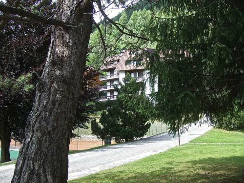 Apartamento Appartamento Alle Terrazze