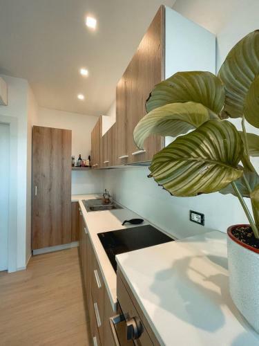Apartamento La Casetta Al Mare - Rimini