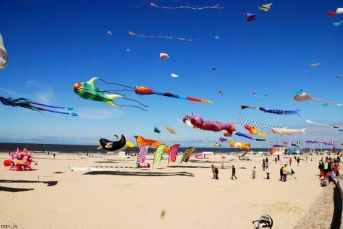 Apartamento Appart 4-6 Pers Berck-plage Hyper-centre