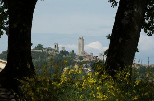 Agroturismo Podere Bellavista