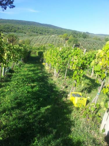 Agroturismo Podere Bellavista