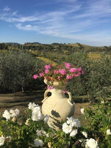 Agroturismo Podere Bellavista