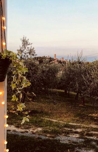Agroturismo Podere Bellavista
