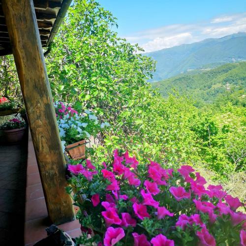 Ulivella Holiday Home