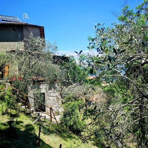 Ulivella Holiday Home