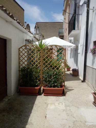 Bed & Breakfast Blue Moon