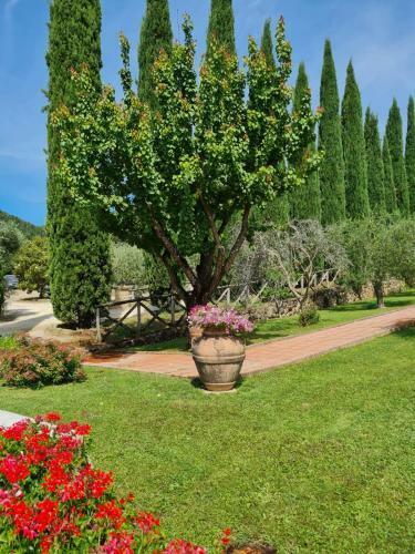 Apartamento Borgo Di Barigianino