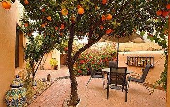 Bed & Breakfast Adobe Rose Inn