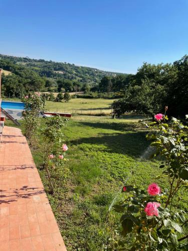 Luxury Villa Arianna