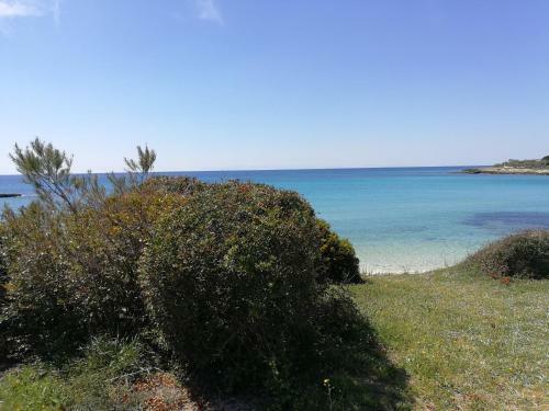 Apartamento Appartamento Cuore Al Centro Di Taranto