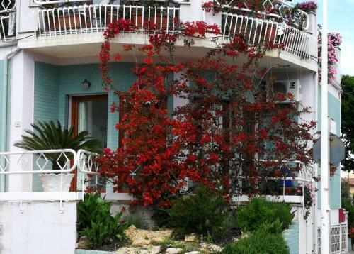 Apartamento Il Giardino All'angolo
