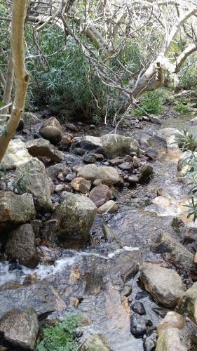 Apartamento Il Giardino All'angolo
