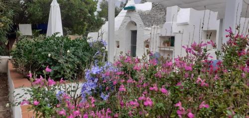 Estate Nel Trullo