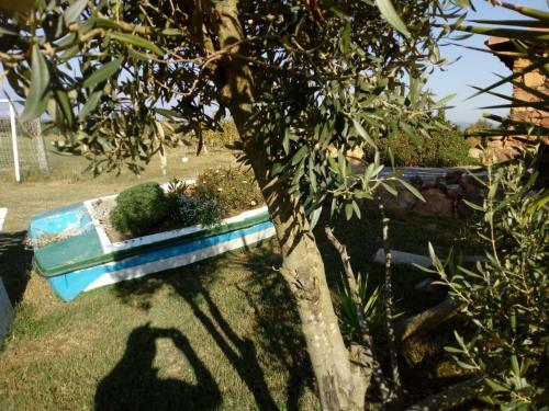 Apartamento Alghero - Grotte Di Nettuno Cortes