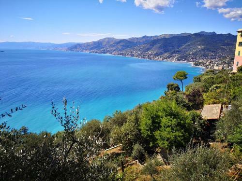 Apartamento Villa Olivari - Apt La Salvia